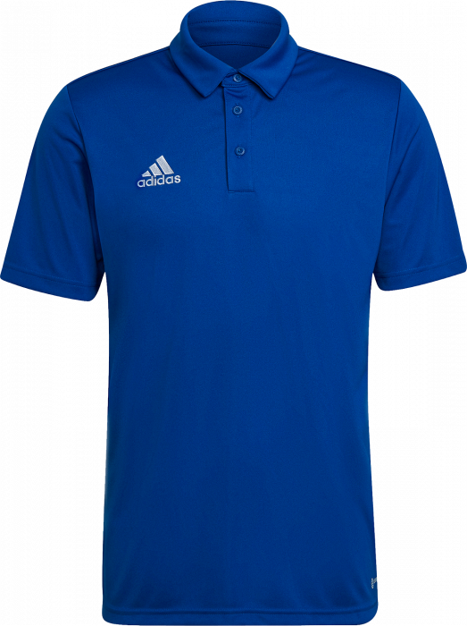 Adidas - Entrada 22 Polo - Royal blue