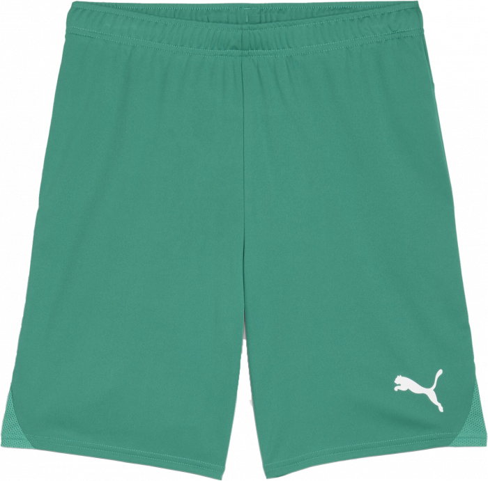 Puma - Teamgoal Shorts - Verde & blanco